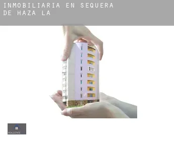 Inmobiliaria en  Sequera de Haza (La)