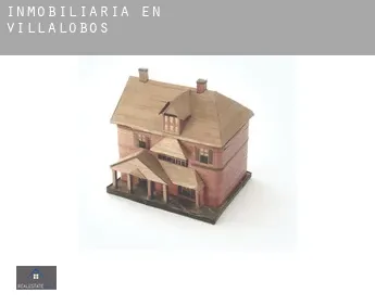Inmobiliaria en  Villalobos
