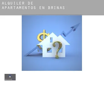 Alquiler de apartamentos en  Briñas