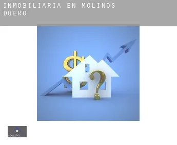 Inmobiliaria en  Molinos de Duero