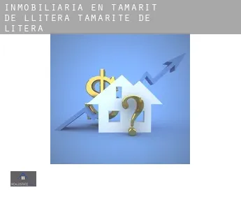 Inmobiliaria en  Tamarit de Llitera / Tamarite de Litera