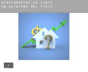 Apartamentos en venta en  Quintana del Pidio