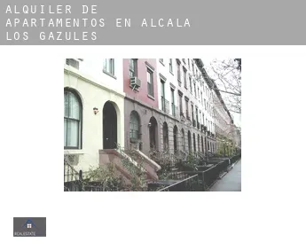 Alquiler de apartamentos en  Alcalá de los Gazules