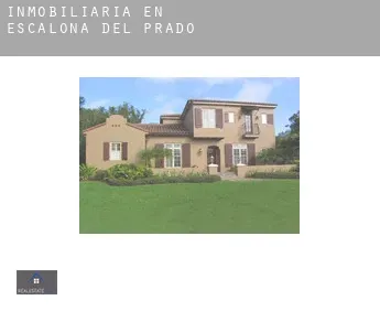 Inmobiliaria en  Escalona del Prado