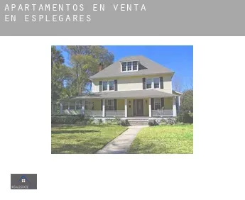 Apartamentos en venta en  Esplegares