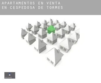 Apartamentos en venta en  Cespedosa de Tormes