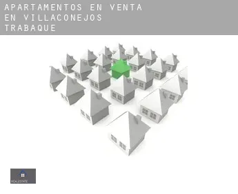 Apartamentos en venta en  Villaconejos de Trabaque