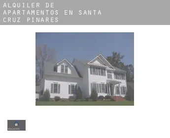 Alquiler de apartamentos en  Santa Cruz de Pinares