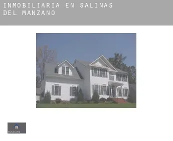Inmobiliaria en  Salinas del Manzano