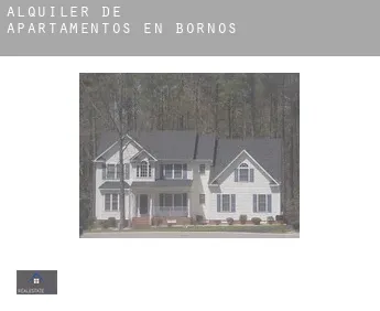 Alquiler de apartamentos en  Bornos