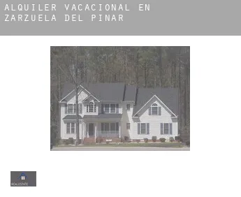 Alquiler vacacional en  Zarzuela del Pinar