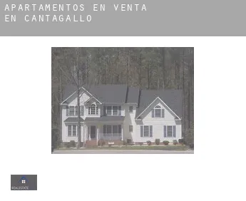 Apartamentos en venta en  Cantagallo