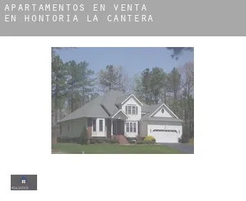 Apartamentos en venta en  Hontoria de la Cantera