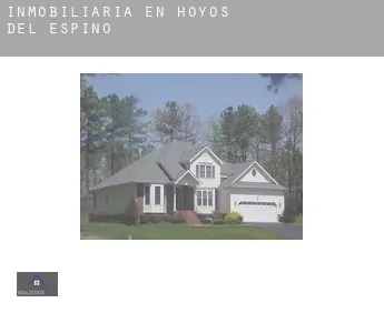 Inmobiliaria en  Hoyos del Espino