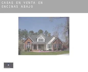 Casas en venta en  Encinas de Abajo