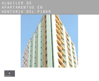 Alquiler de apartamentos en  Hontoria del Pinar