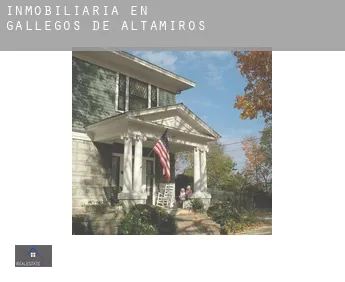 Inmobiliaria en  Gallegos de Altamiros